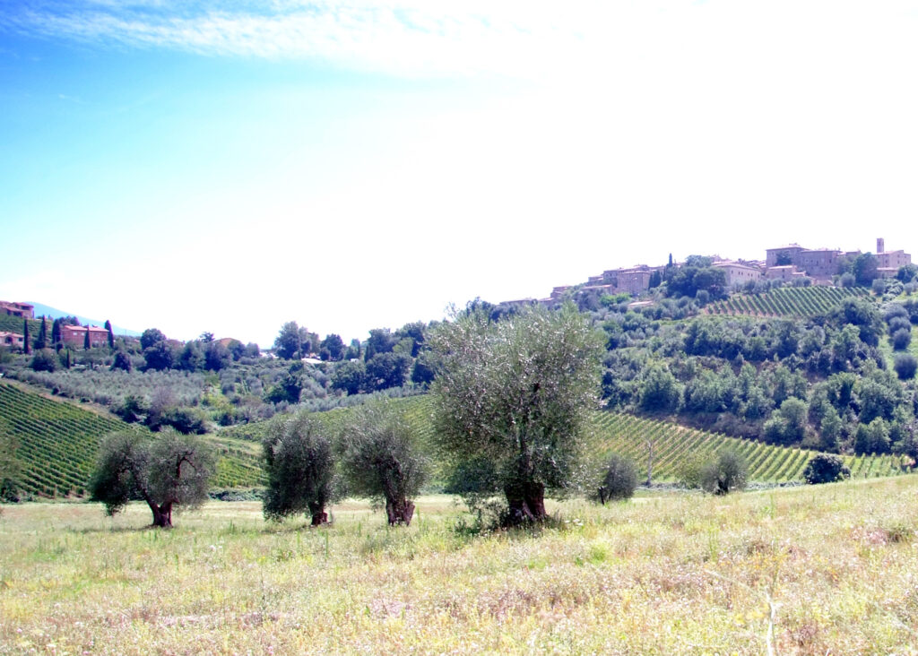 Das wunderschöne Orcia-Tal im Süden der Toskana