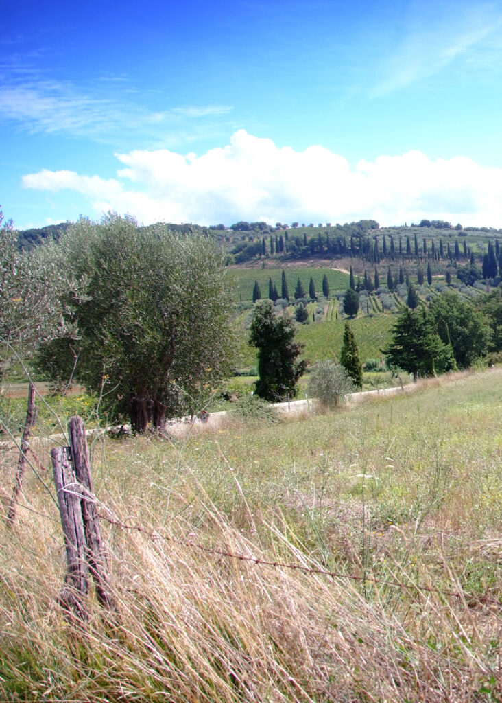 Das wunderschöne Orcia-Tal im Süden der Toskana