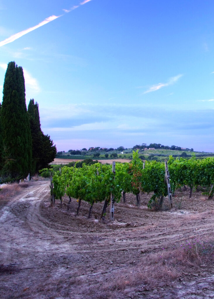 Das wunderschöne Orcia-Tal im Süden der Toskana