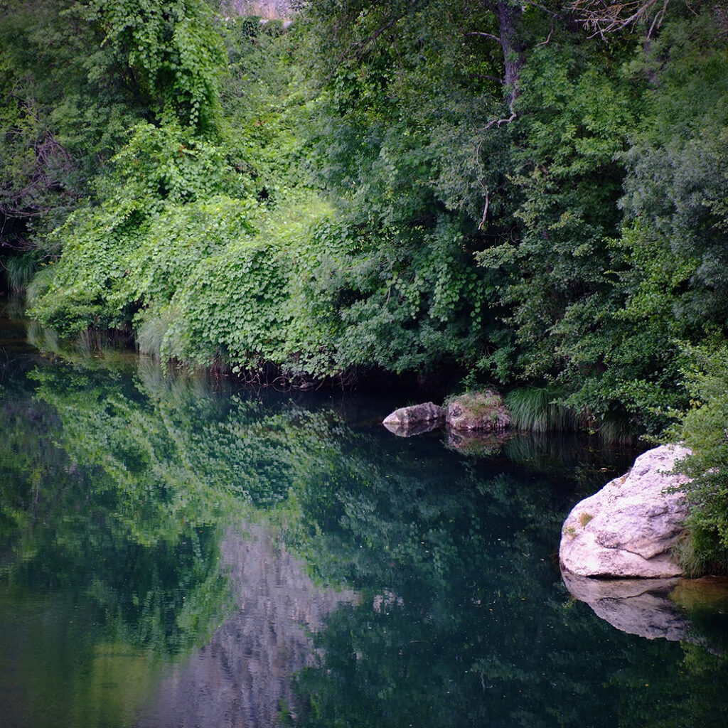 Photography Dreams | South of France photographs - Barjac & Surroundings