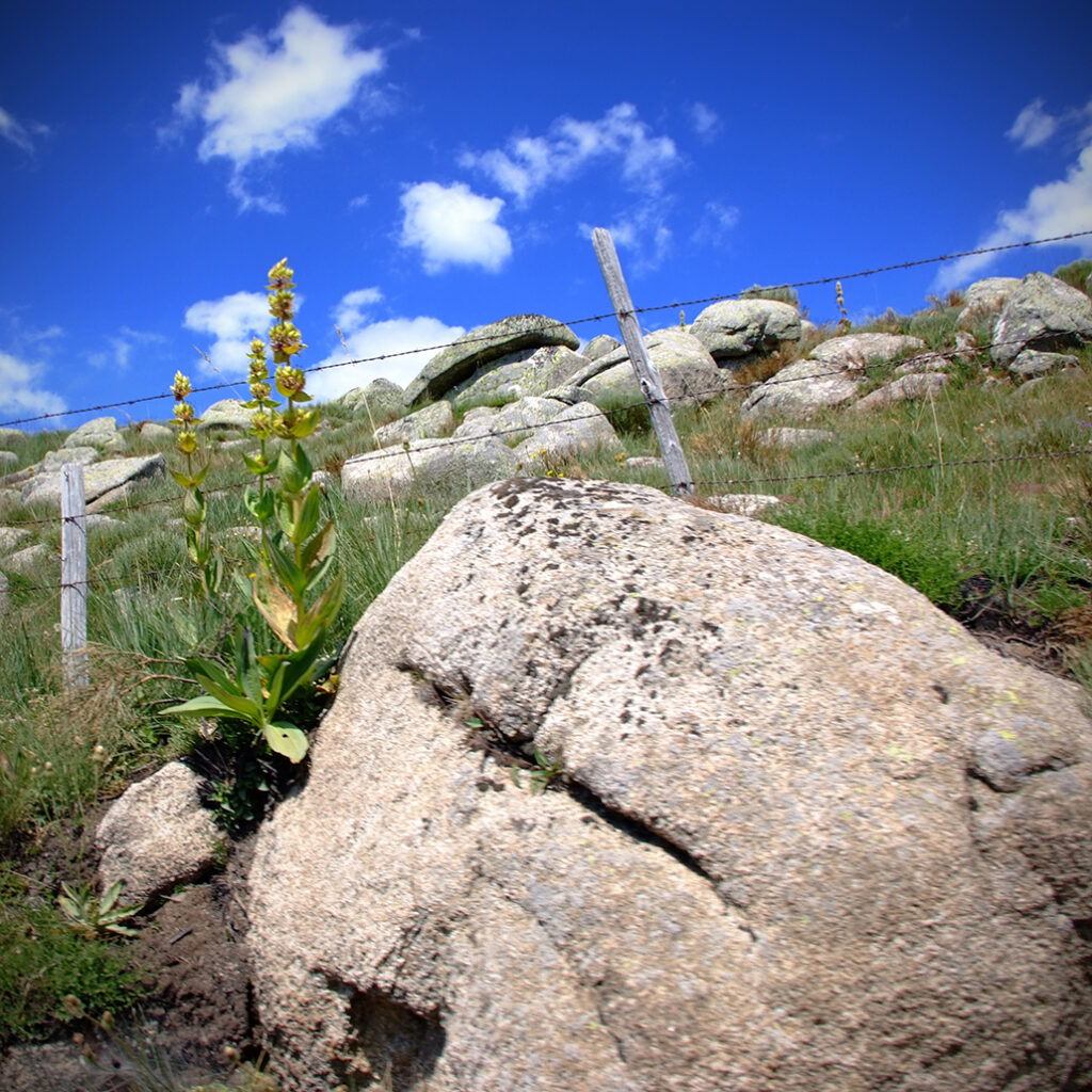 Photography Dreams | South of France photographs - Cevennen Felsbrocken