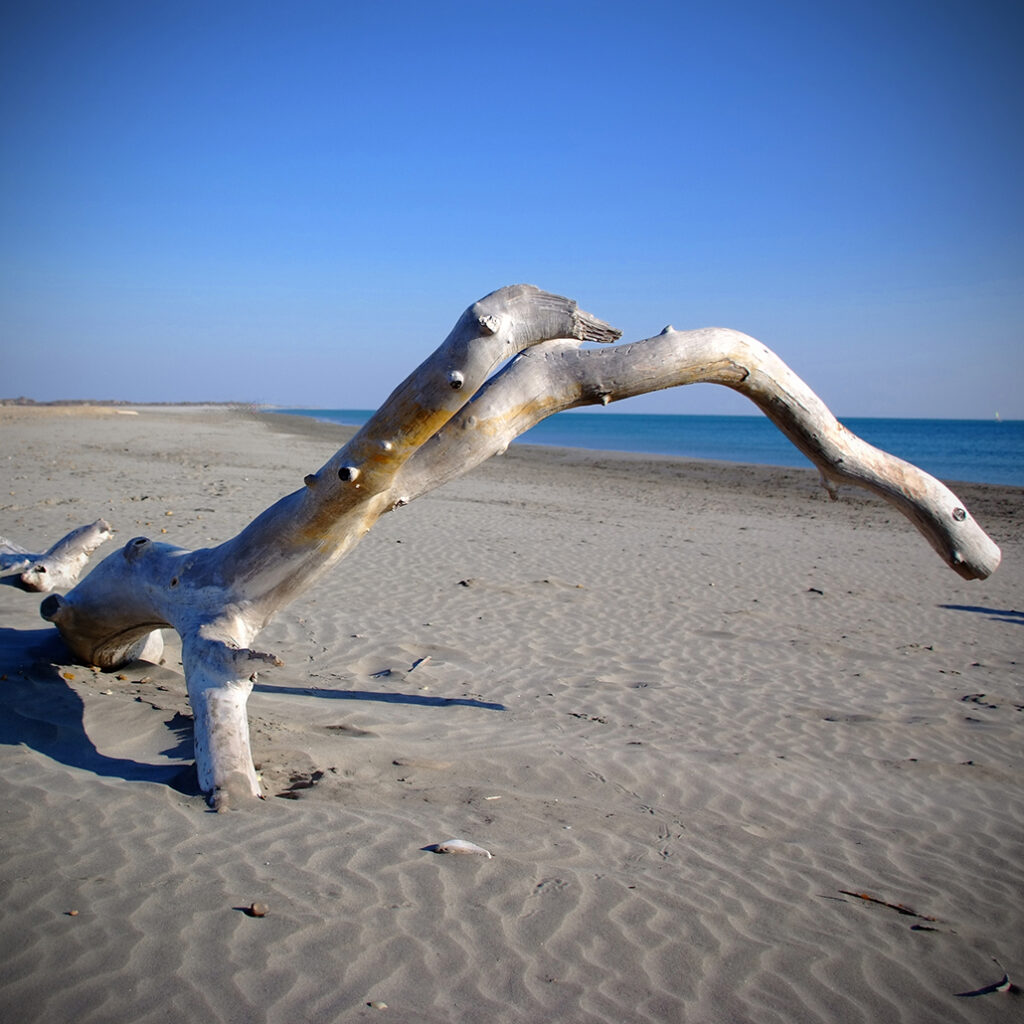 Photography Dreams | South of France photographs - Strand von Les Saintes Maries de la Mer