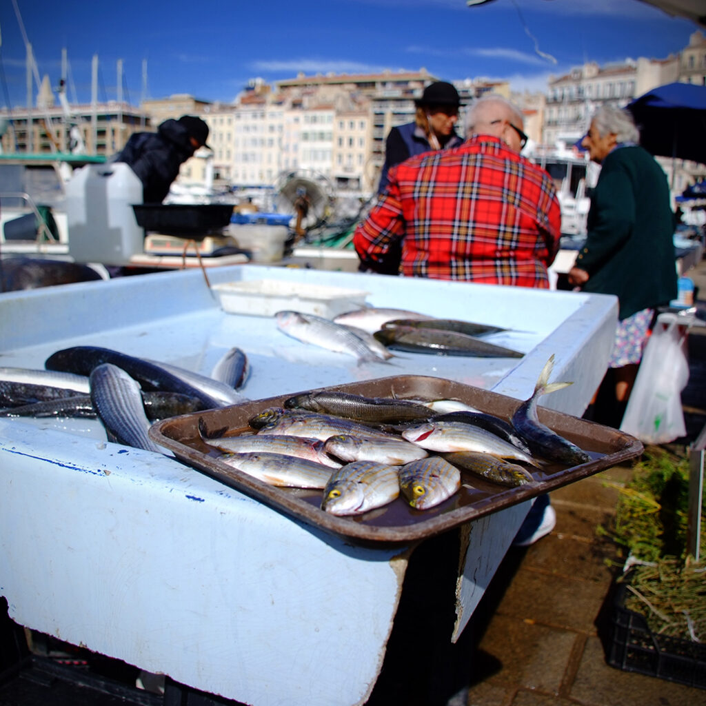 Photography Dreams | South of France photographs - Marseille Fischmarkt Alter Hafen