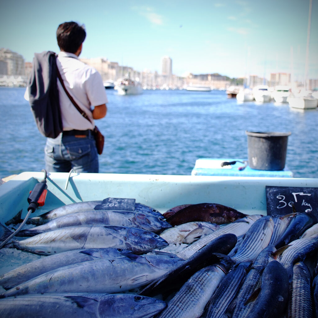 Photography Dreams | South of France photographs - Marseille Fischmarkt Alter Hafen