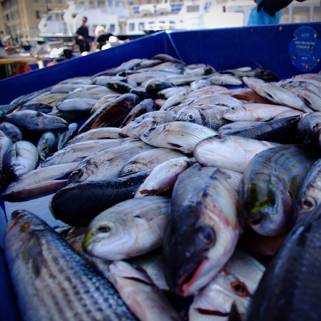 Photography Dreams | South of France photographs - Marseille Fischmarkt Alter Hafen