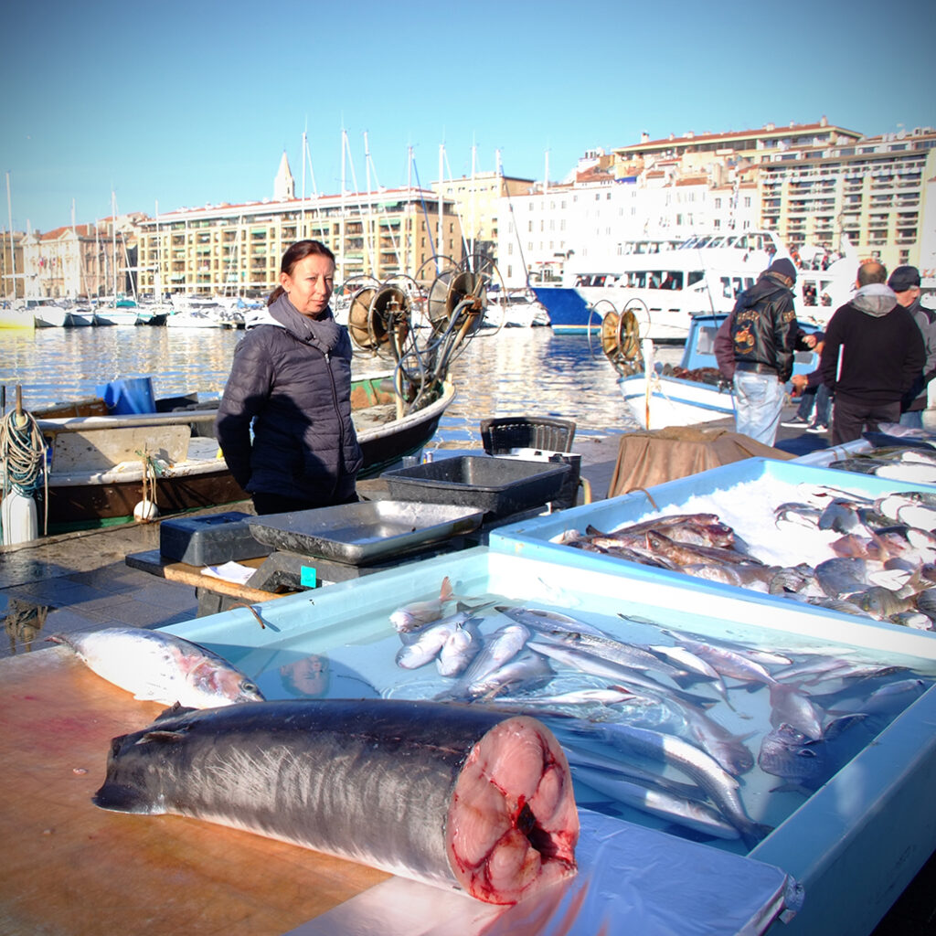 Photography Dreams | South of France photographs - Marseille Fischmarkt Alter Hafen