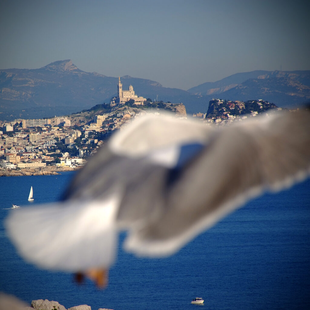 Photography Dreams | South of France photographs - Marseille Frioul