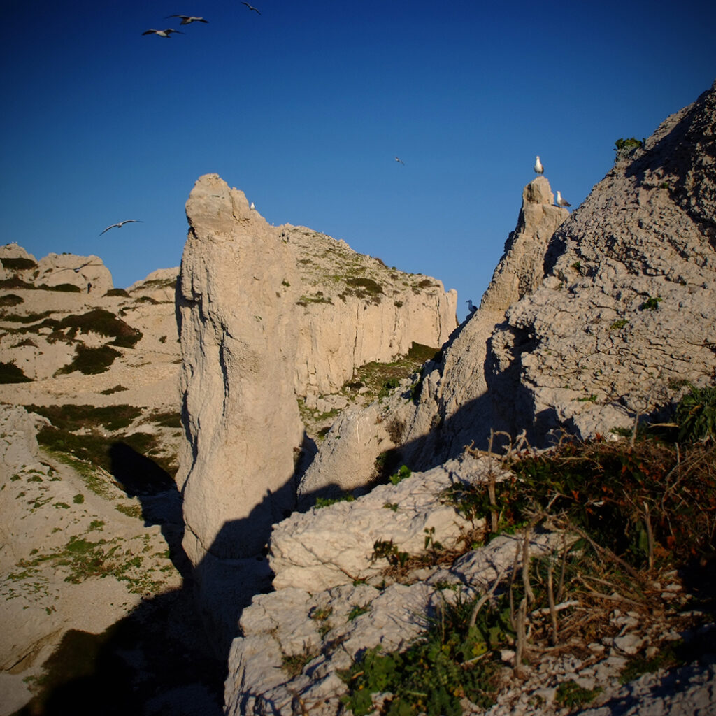 Photography Dreams | South of France photographs - Marseille Frioul