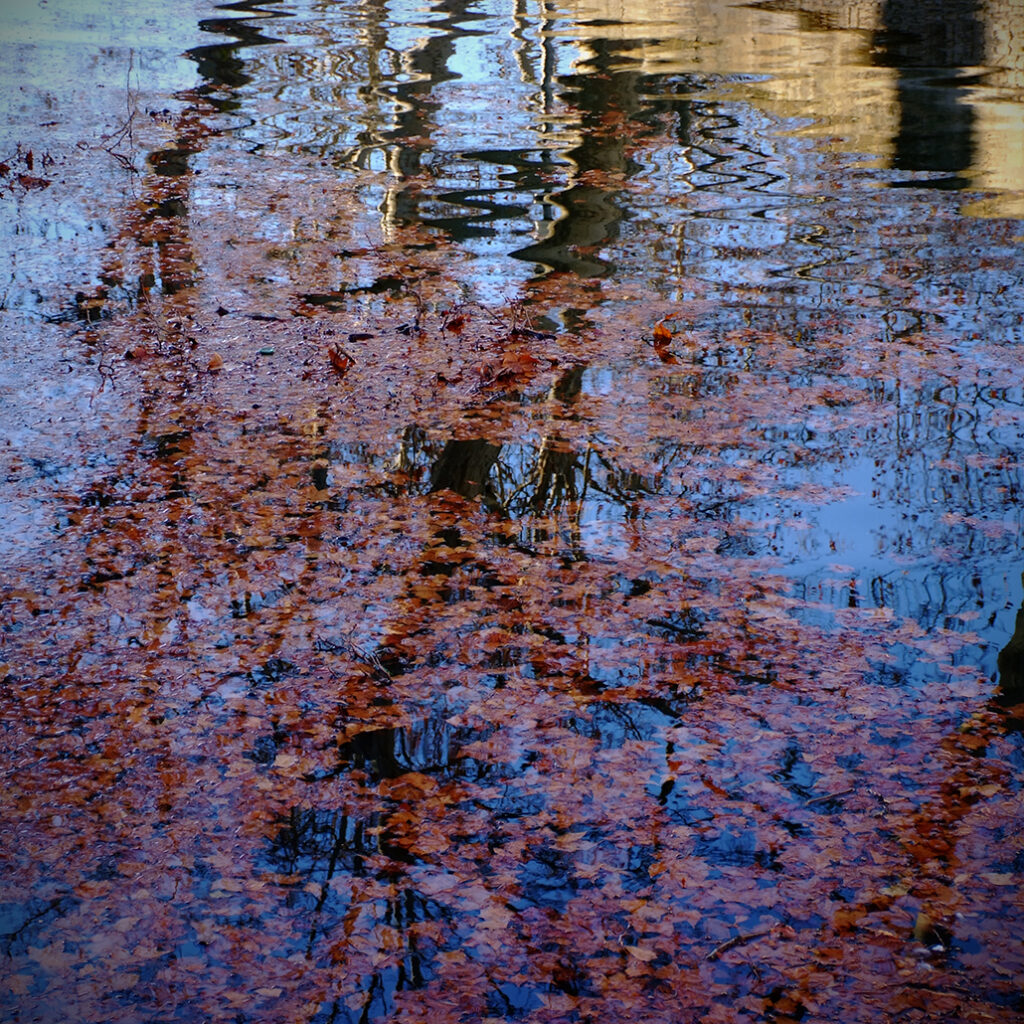 Photography Dreams | South of France photographs - Nimes Wasserspiegelung