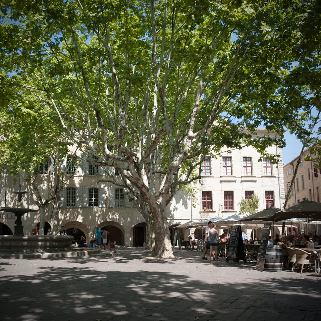 Photography Dreams | South of France photographs - Uzes Place aux herbes