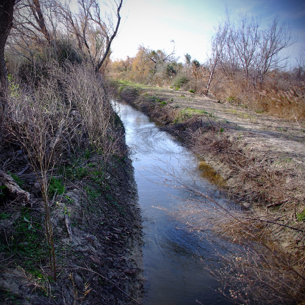 Photography Dreams | South of France photographs - Kanal