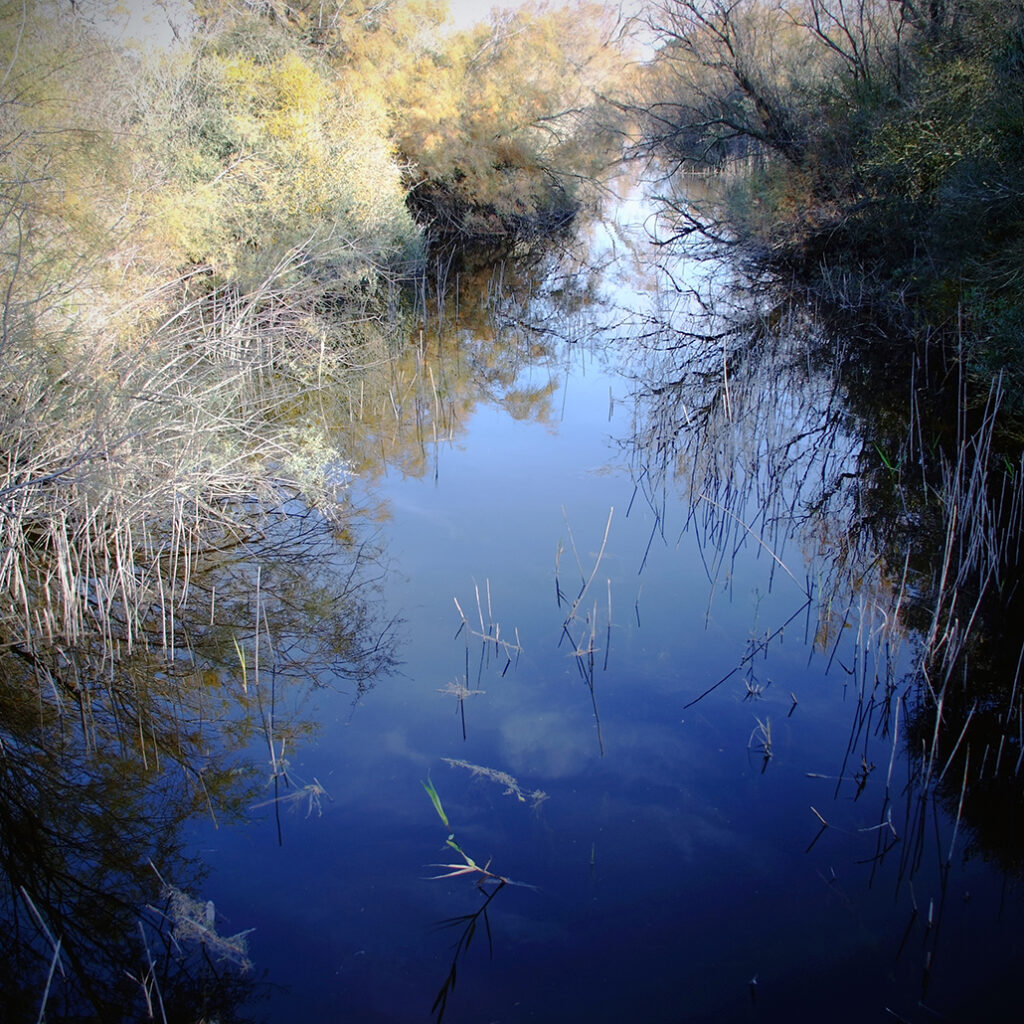 Photography Dreams | South of France photographs - Am Etang