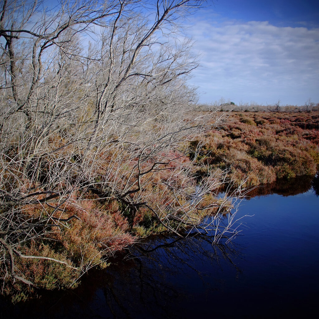 Photography Dreams | South of France photographs - Am Etang