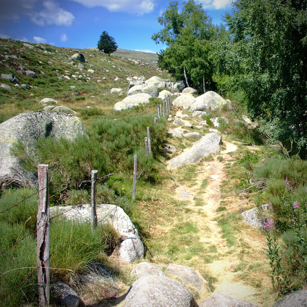 Cevennen-18 Photography Dreams | South of France photographs - Cevennen - Felsenmeer auf der Causse