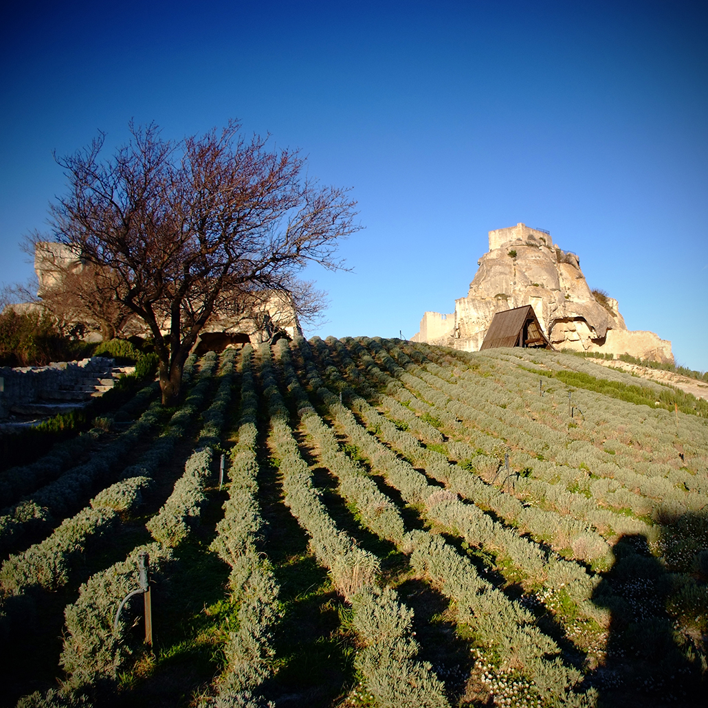 Les-Baux-de-Provence_09 Photography Dreams | Les Baux photographs - Les Baux - Alpilles