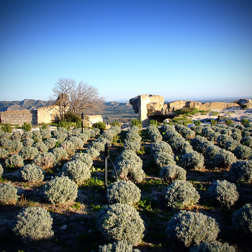 Les-Baux-de-Provence_10 Photography Dreams | Les Baux photographs - Les Baux - Alpilles