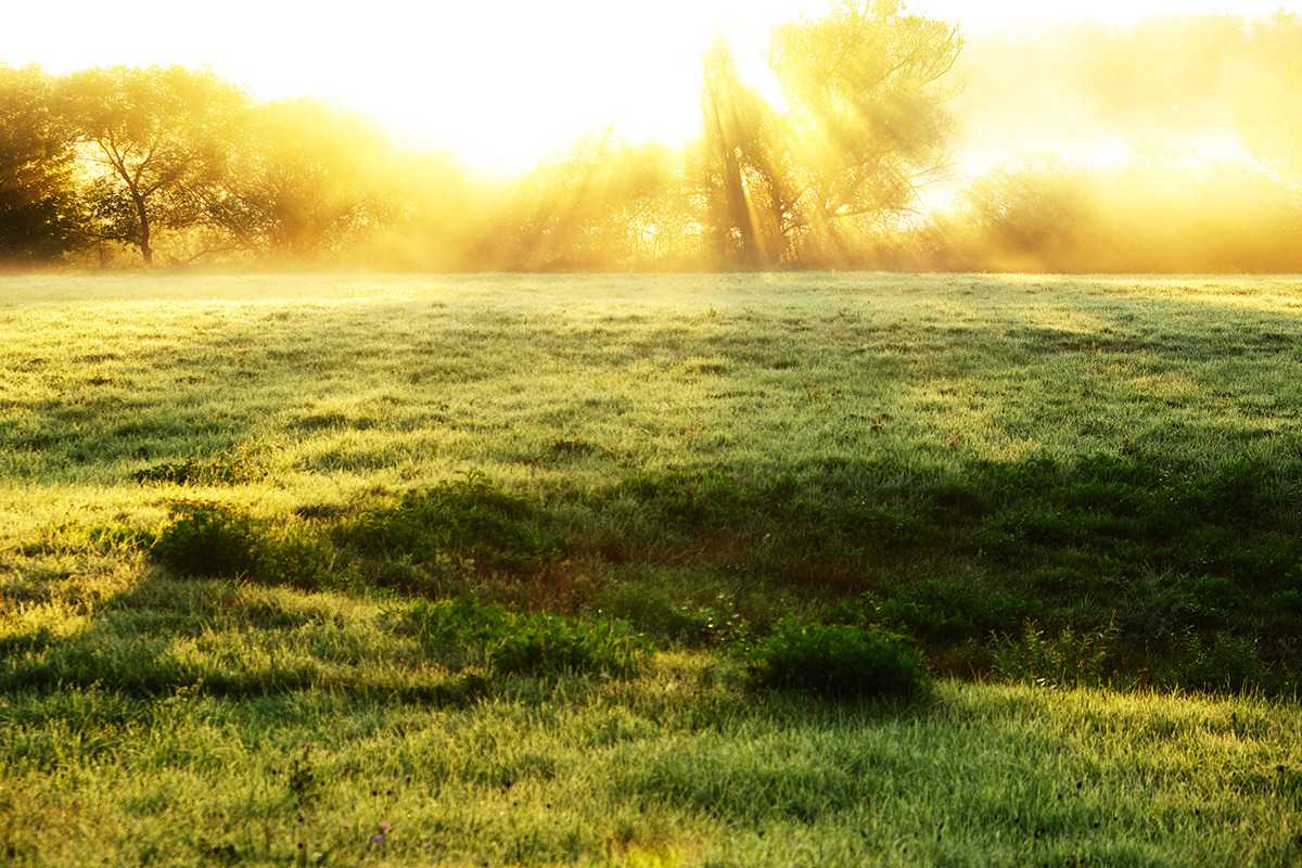 flussnebel 10 Photography Dreams | nature photographs - Flussnebel - Lahn