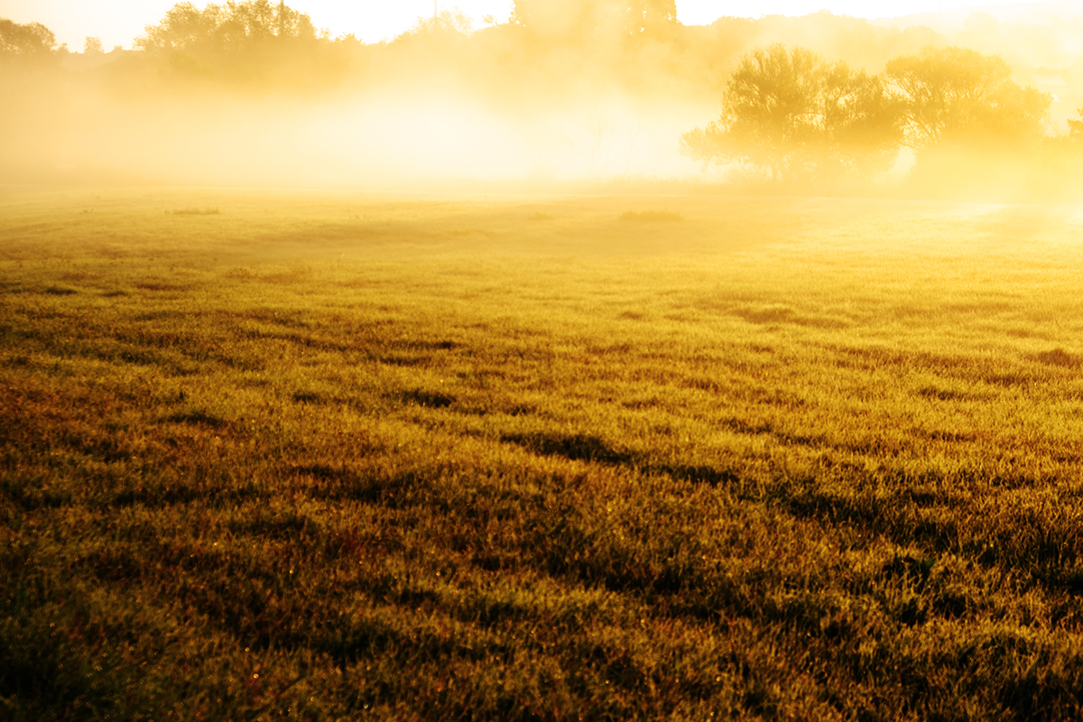 flussnebel 14 Photography Dreams | nature photographs - Flussnebel - Lahn