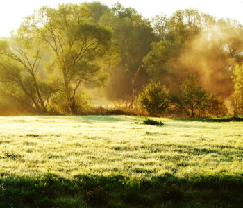 flussnebel 18 Photography Dreams | nature photographs - Flussnebel - Lahn