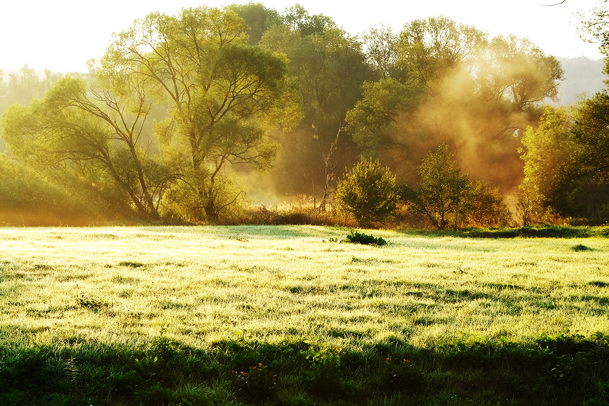 flussnebel 18 Photography Dreams | nature photographs - Flussnebel - Lahn