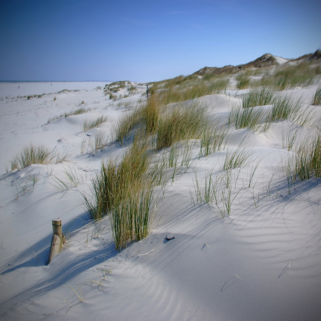 juist 1 Photography Dreams | nature photographs - Juist - Nordsee