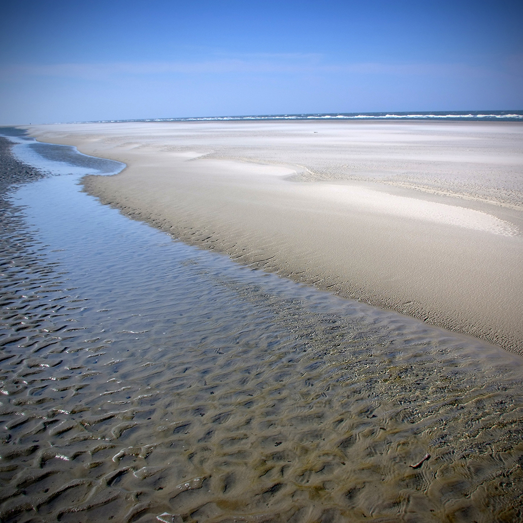 juist 14 Photography Dreams | nature photographs - Juist - Nordsee