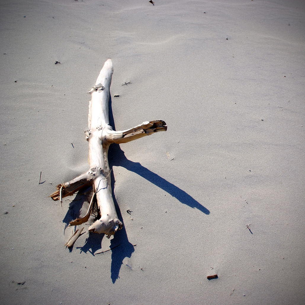 juist 17 Photography Dreams | nature photographs - Juist - Nordsee