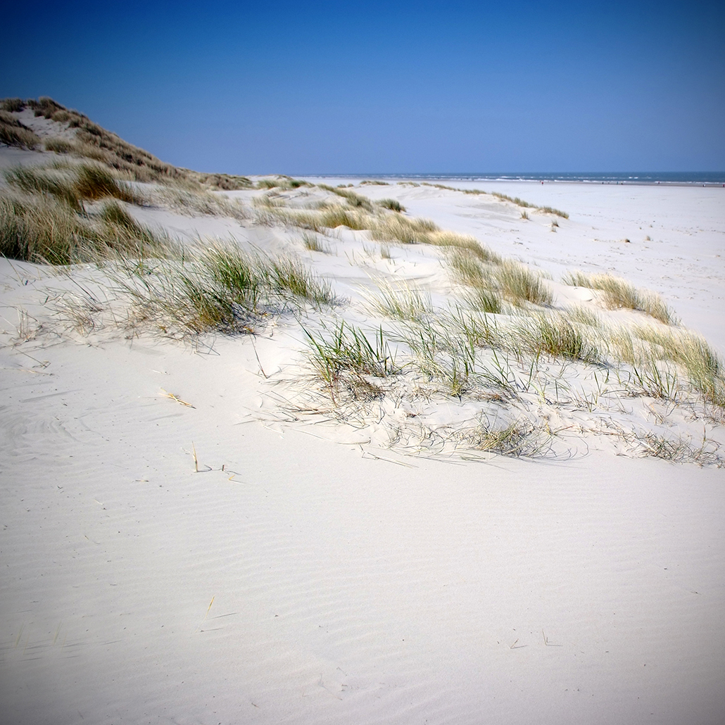 juist 24 Photography Dreams | nature photographs - Juist - Nordsee