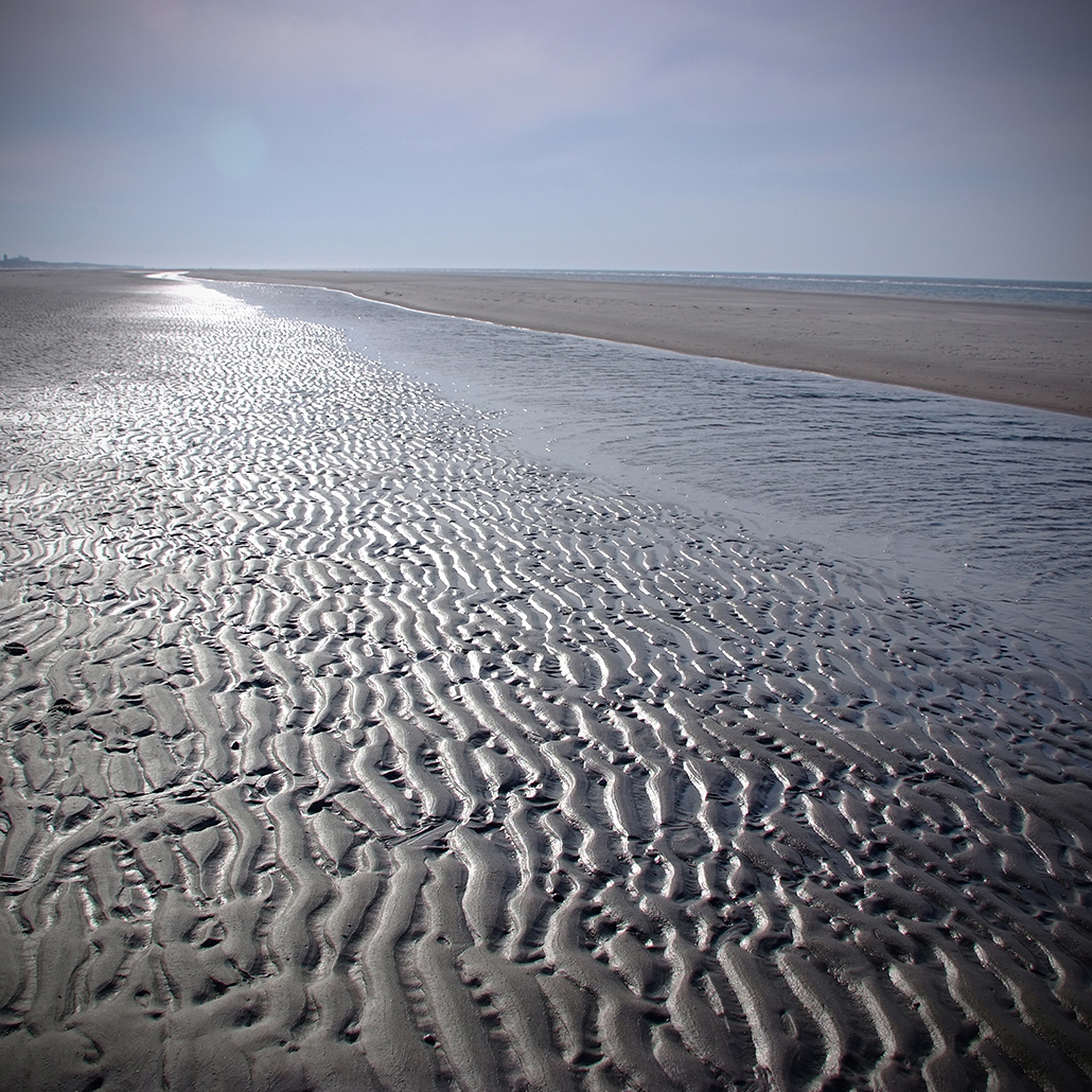 juist 43 Photography Dreams | nature photographs - Juist - Nordsee