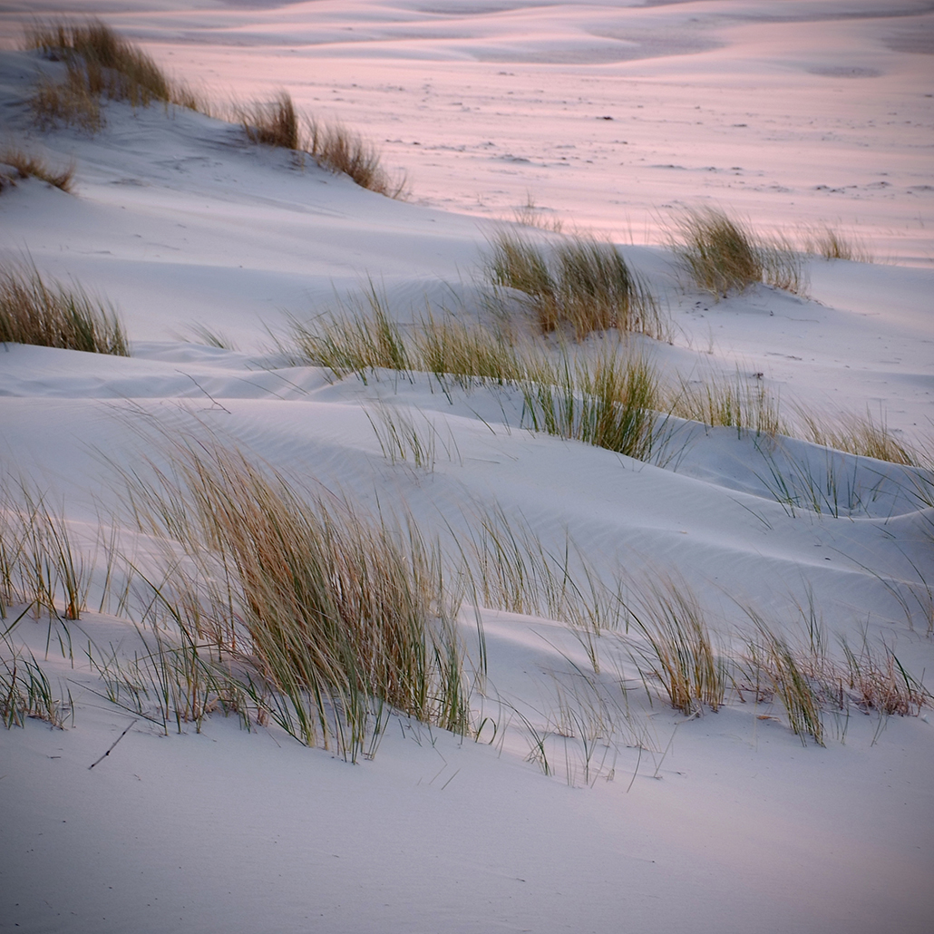 juist 58 Photography Dreams | nature photographs - Juist - Nordsee