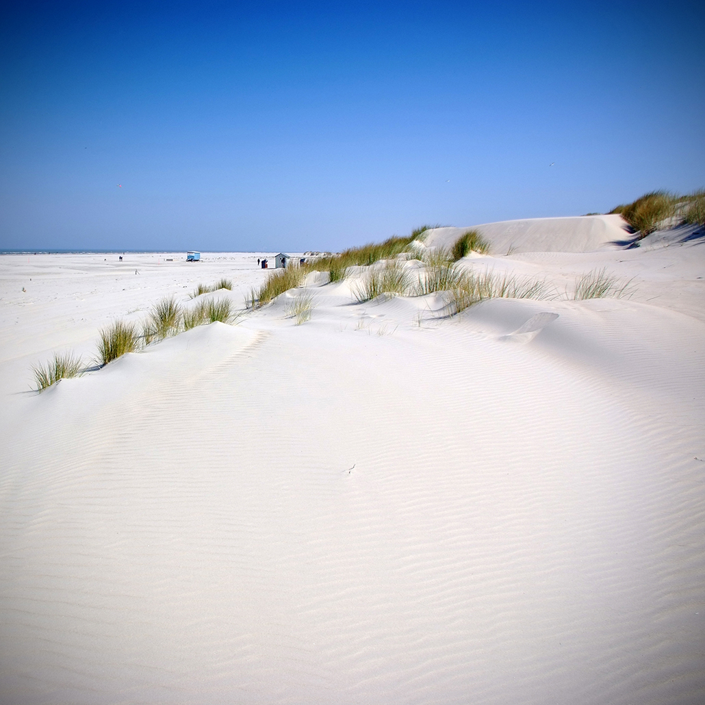 juist 65 Photography Dreams | nature photographs - Juist - Nordsee