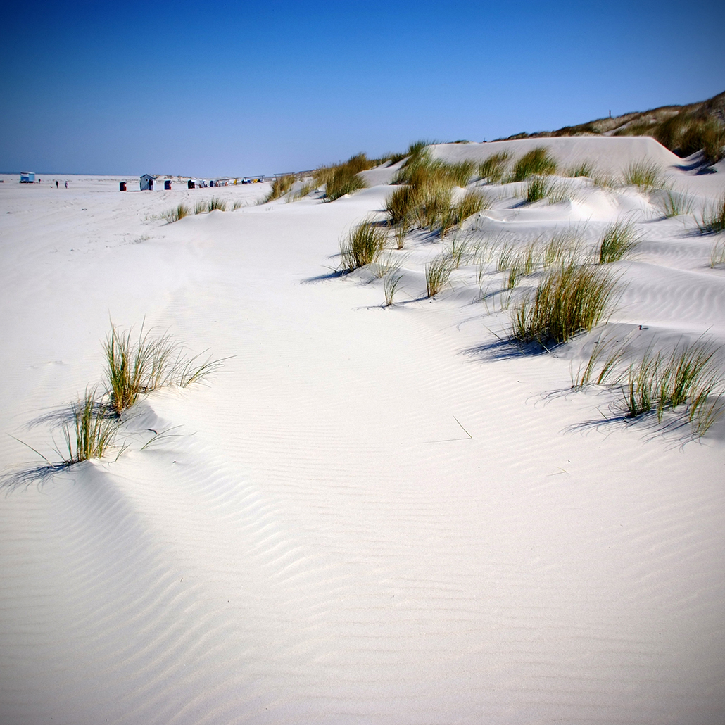 juist 66 Photography Dreams | nature photographs - Juist - Nordsee