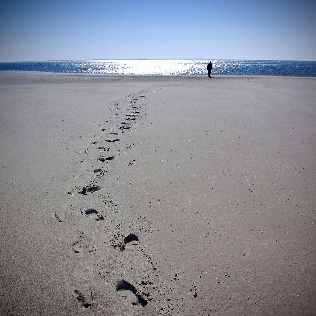 juist 77 Photography Dreams | nature photographs - Juist - Nordsee