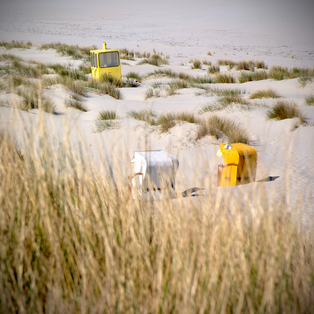 juist 92 Photography Dreams | nature photographs - Juist - Nordsee