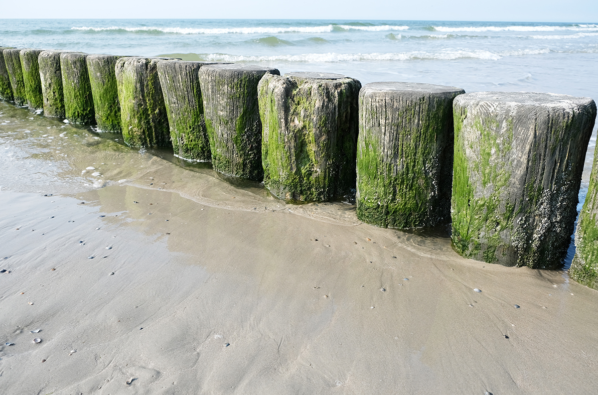 norderney 08 Photography Dreams | nature photographs - Norderney - Nordsee