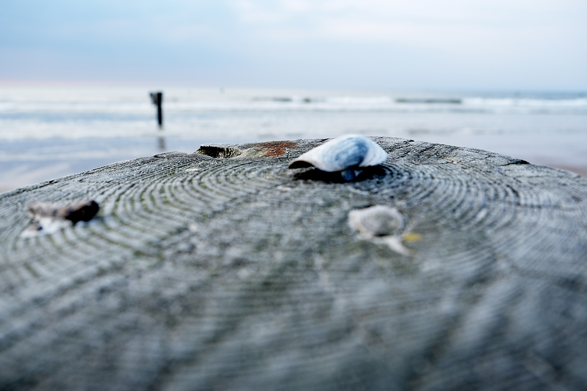 norderney 19 Photography Dreams | nature photographs - Norderney - Nordsee