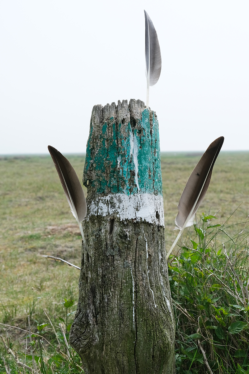 norderney 23a Photography Dreams | nature photographs - Norderney - Nordsee