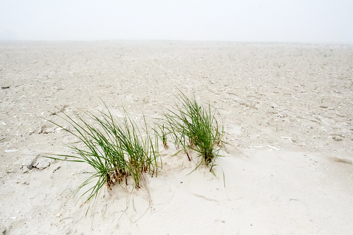 norderney 29 Photography Dreams | nature photographs - Norderney - Nordsee