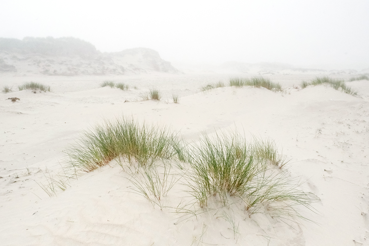 norderney 34 Photography Dreams | nature photographs - Norderney - Nordsee