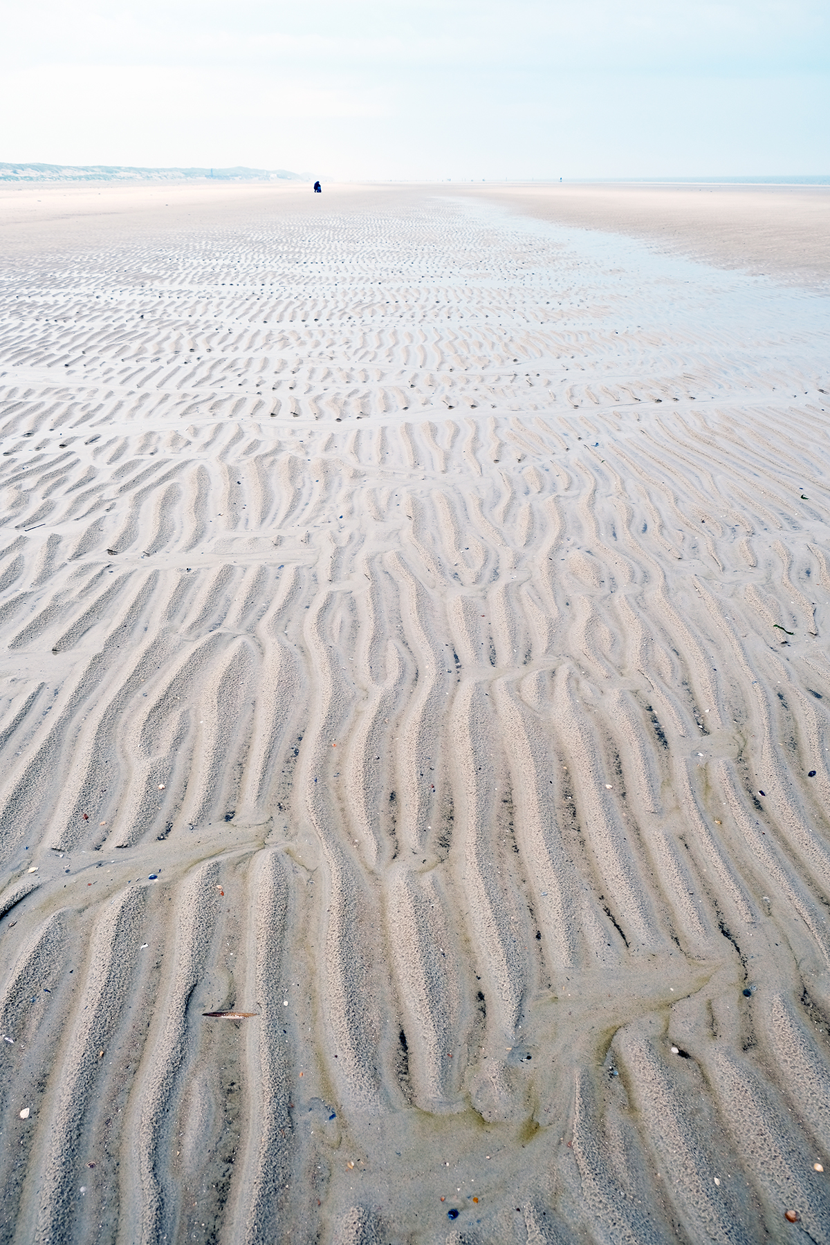 norderney 57 Photography Dreams | nature photographs - Norderney - Nordsee