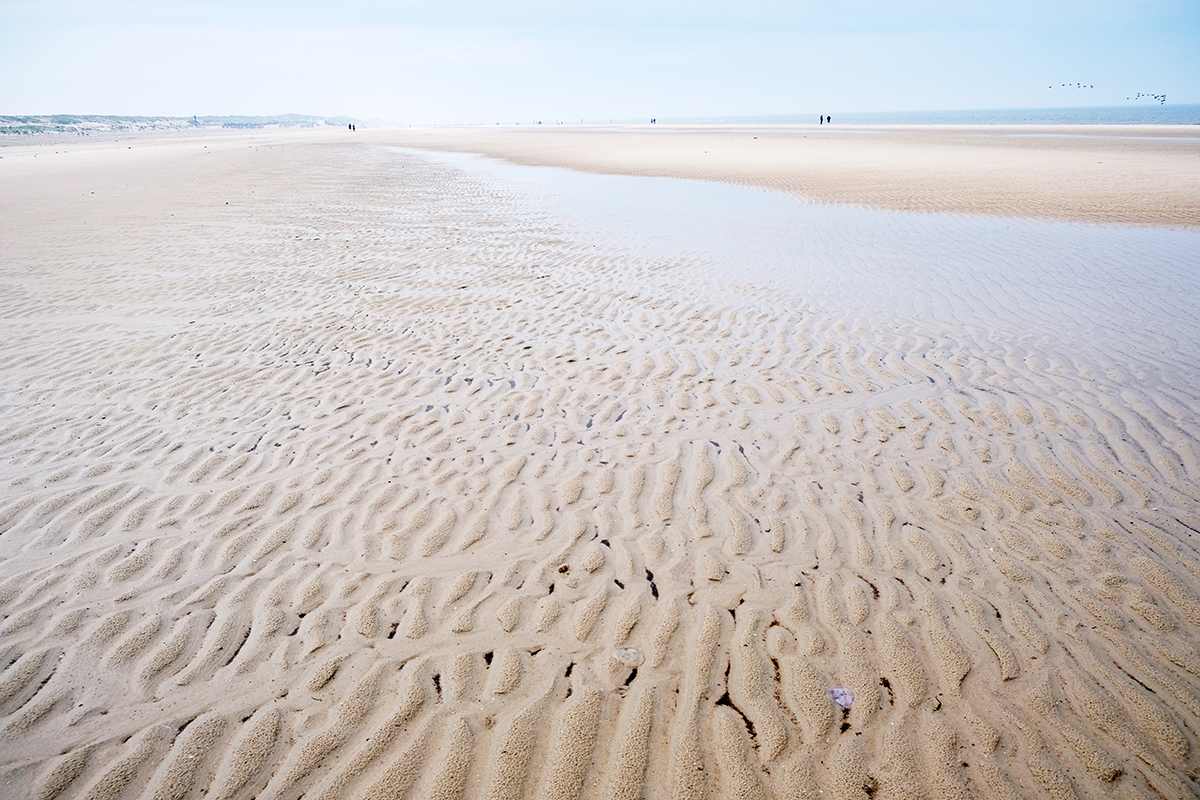 norderney 59 Photography Dreams | nature photographs - Norderney - Nordsee