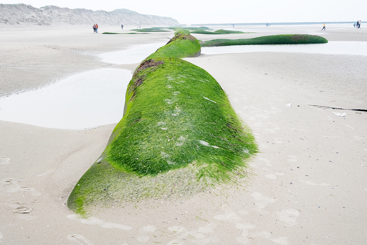 norderney 63 Photography Dreams | nature photographs - Norderney - Nordsee