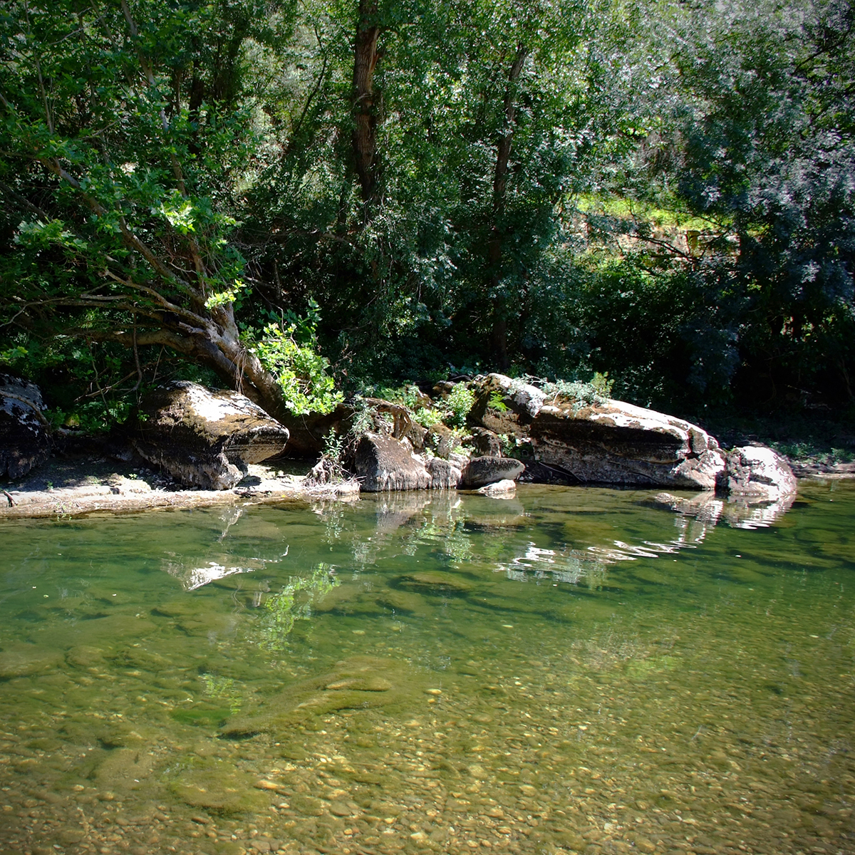 barjac 46 Photography Dreams | nature photographs - Barjac - Südfrankreich