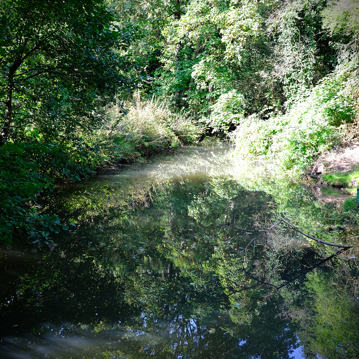 vogelsberg 03 Photography Dreams | nature photographs - Vogelsberg - Hessen