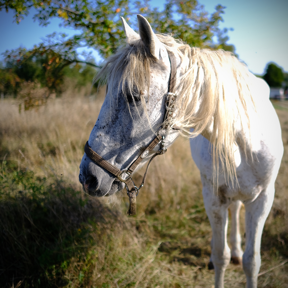 vogelsberg 19 Photography Dreams | nature photographs - Vogelsberg - Hessen