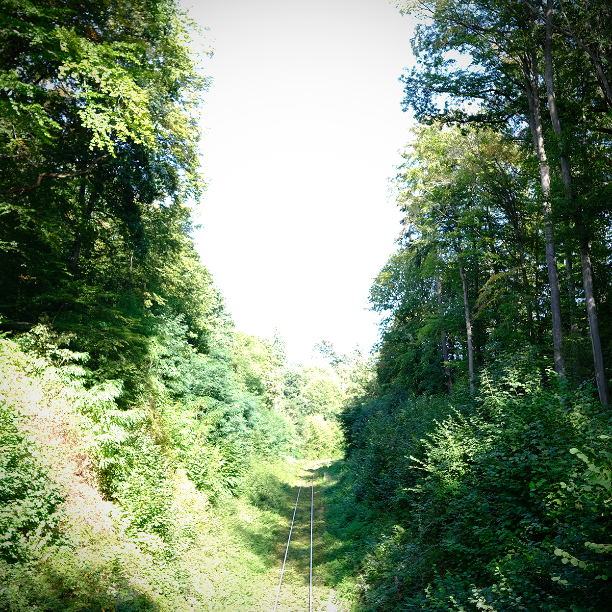 vogelsberg 24 Photography Dreams | nature photographs - Vogelsberg - Hessen