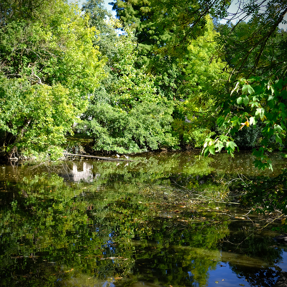 lich 02 Photography Dreams | nature photographs - Lich - Mittelhessen