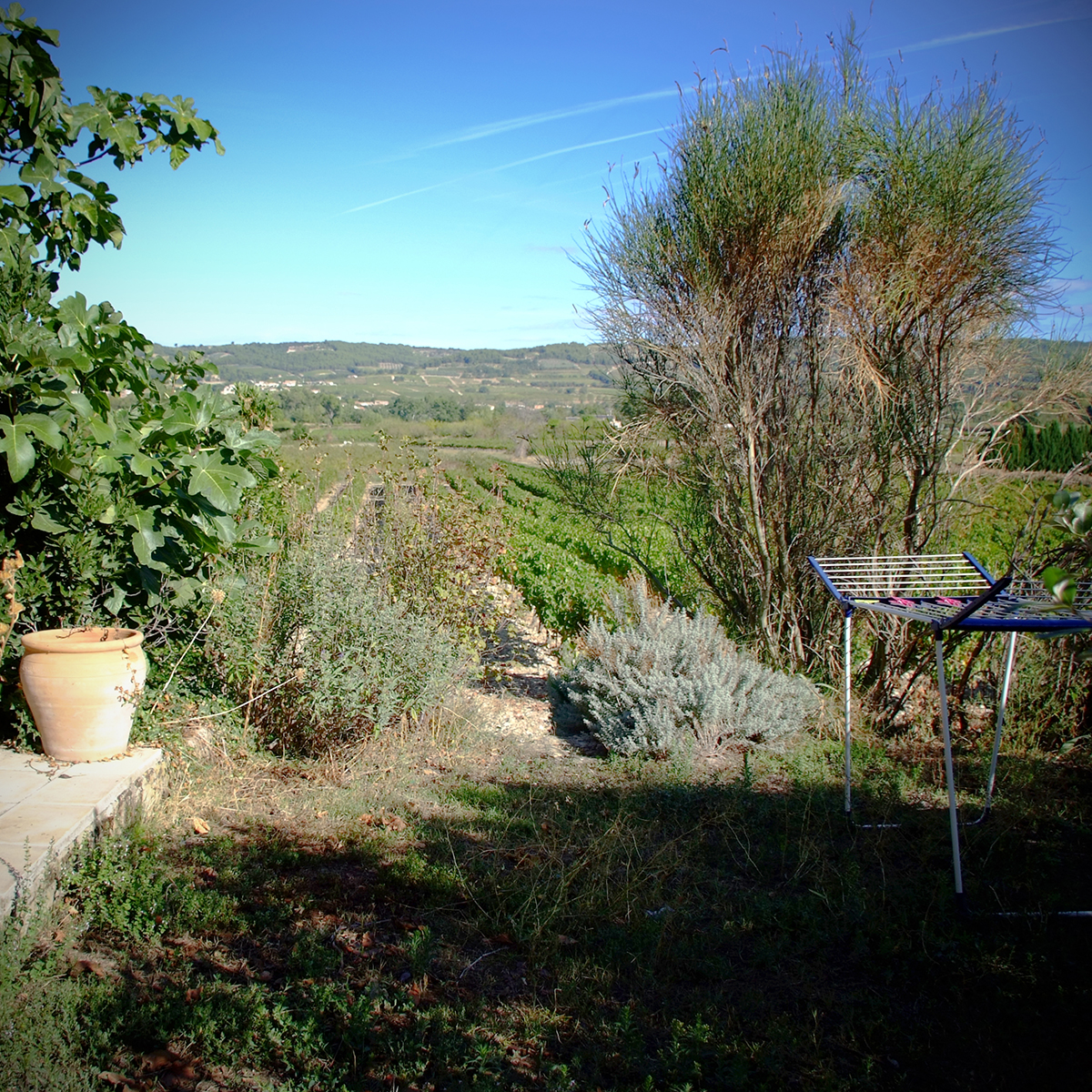 vaison-la-romaine 03 Photography Dreams | nature photographs - Provence - Südfrankreich