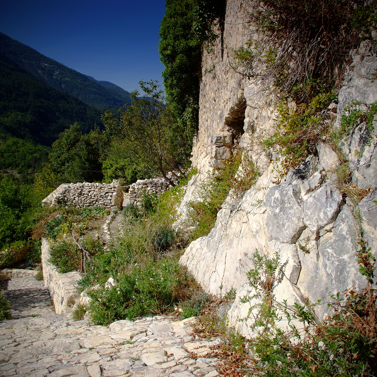 vaison-la-romaine 68 Photography Dreams | nature photographs - Provence - Südfrankreich