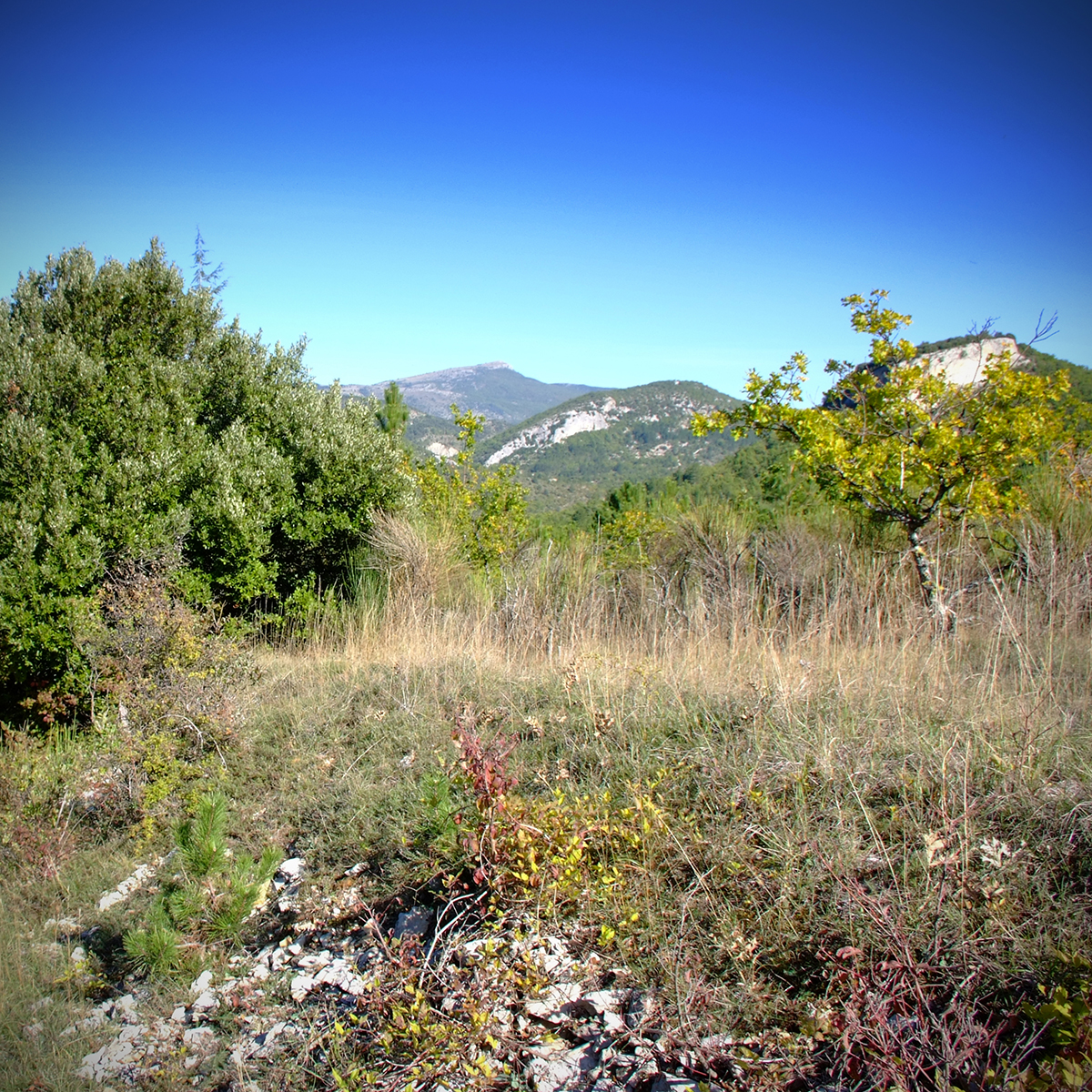 vaison-la-romaine 73 Photography Dreams | nature photographs - Provence - Südfrankreich